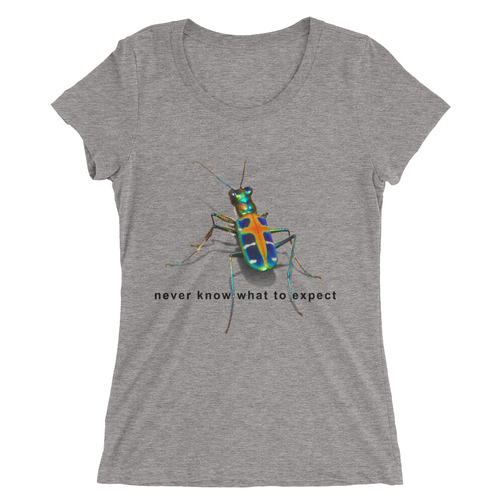 Laotian Beetle, Ladies' short sleeve t-shirt
