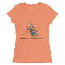 Laotian Beetle, Ladies' short sleeve t-shirt